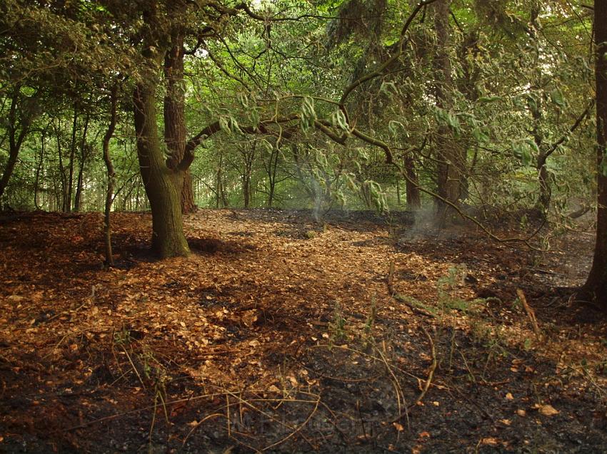 Waldbrand Bergisch Gladbach Bensberg P075.JPG